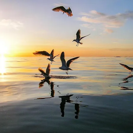 בית נופש 4 Person In