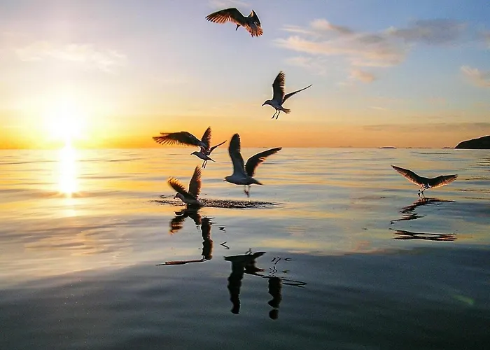 בית נופש 4 Person In